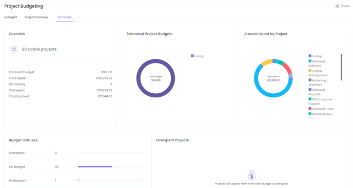 Project Budgeting Summary View on WebWork Time Tracker