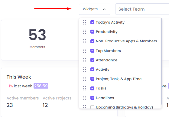Widgets in WebWork Time Tracker Dashboard
