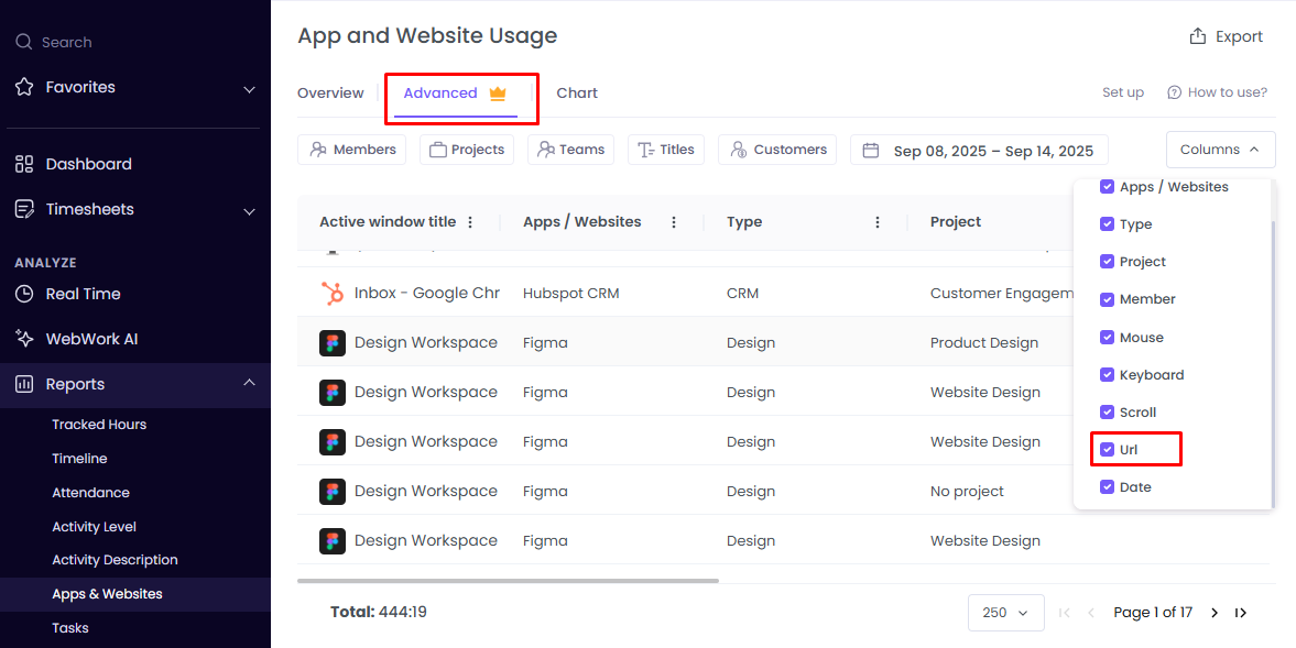 URL tracking in WebWork Time Tracker
